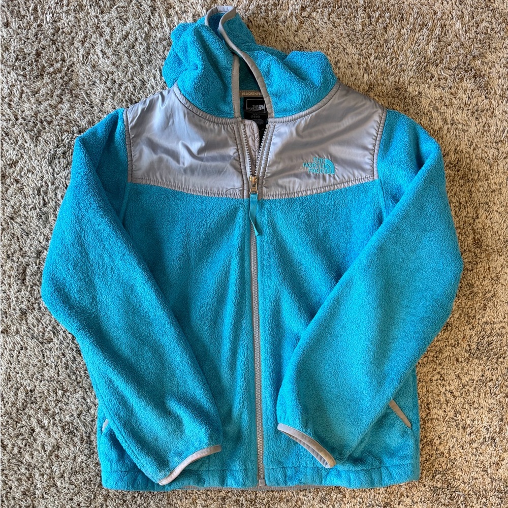 The North Face Teal and Gray Fleece Jacket
